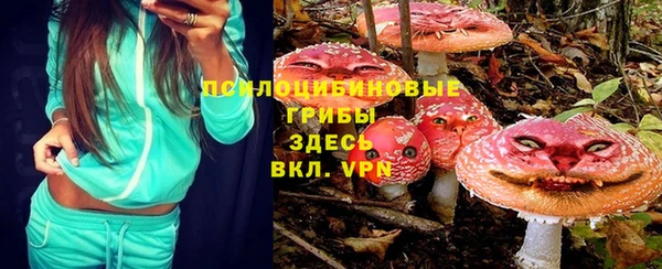прущий лед Струнино